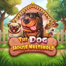 The Dog House Multihold game at PlayGrand Casino for United Kingdom players